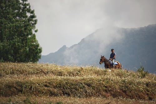 Man Riding Horse in Countryside