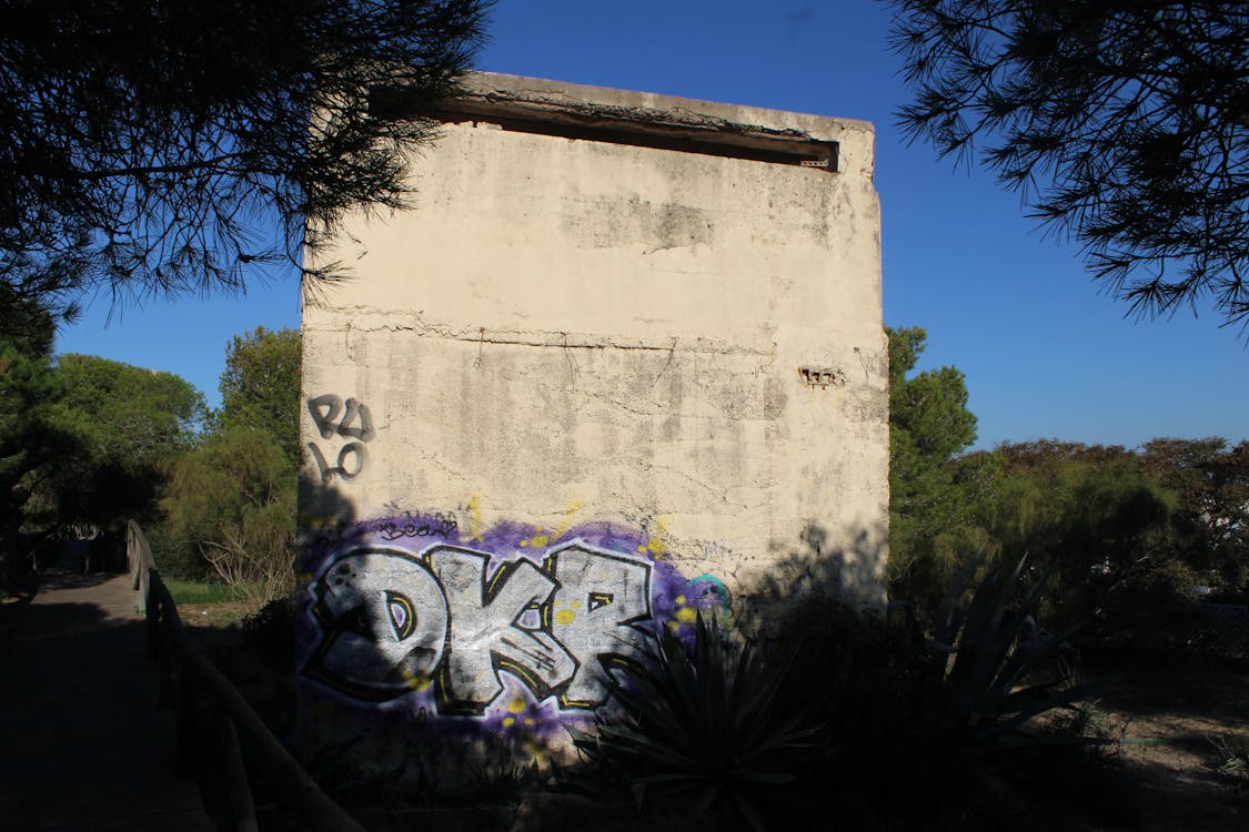 posición de observación en los pinares de Rota