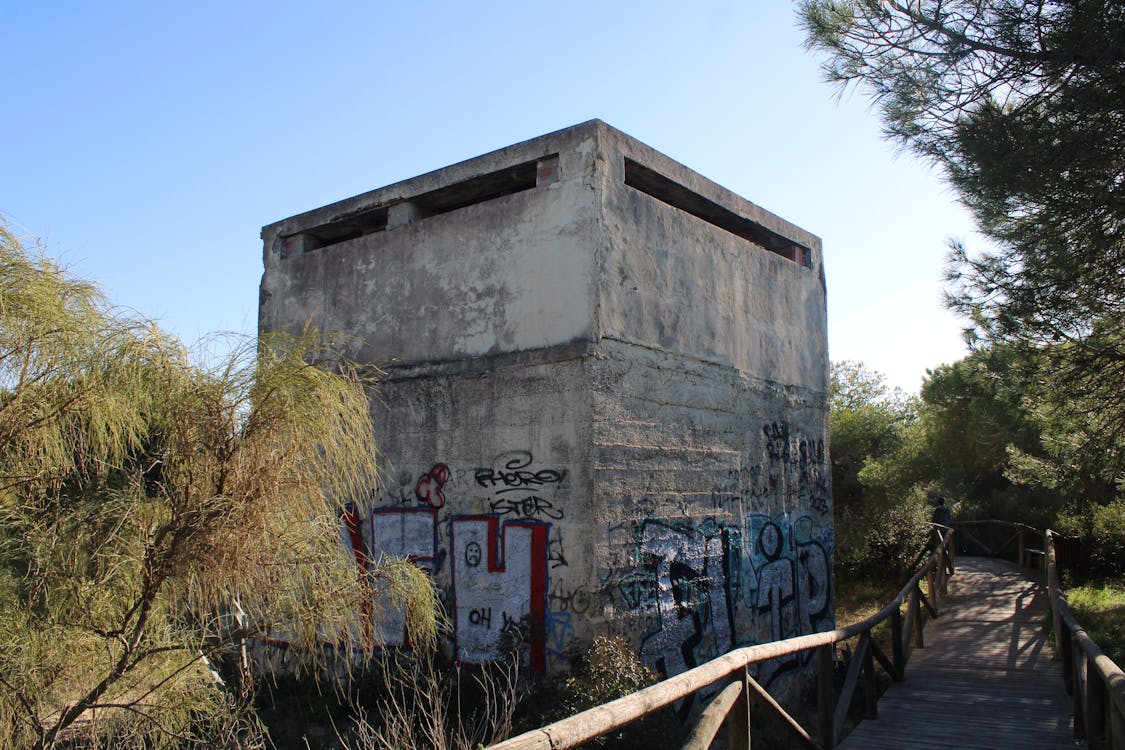 posición de observación en los pinares de Rota