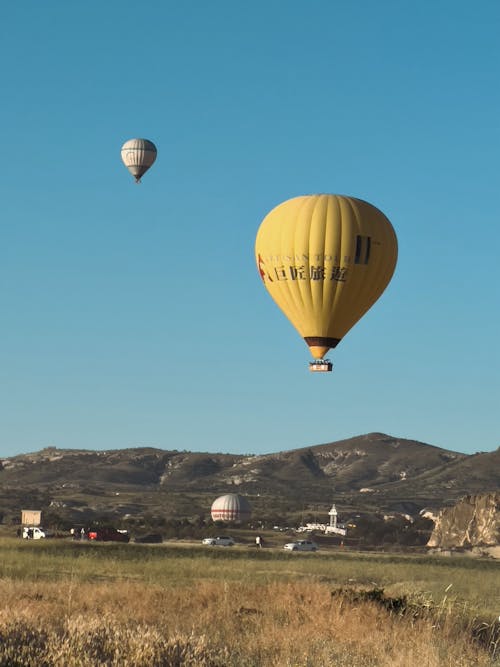 Hot Air Balloons Flying over a Field and Mountains 