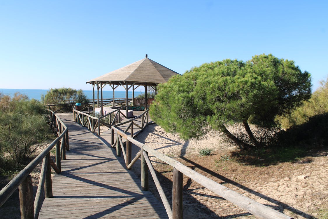 primera posición de artillería en los pinares de Rota