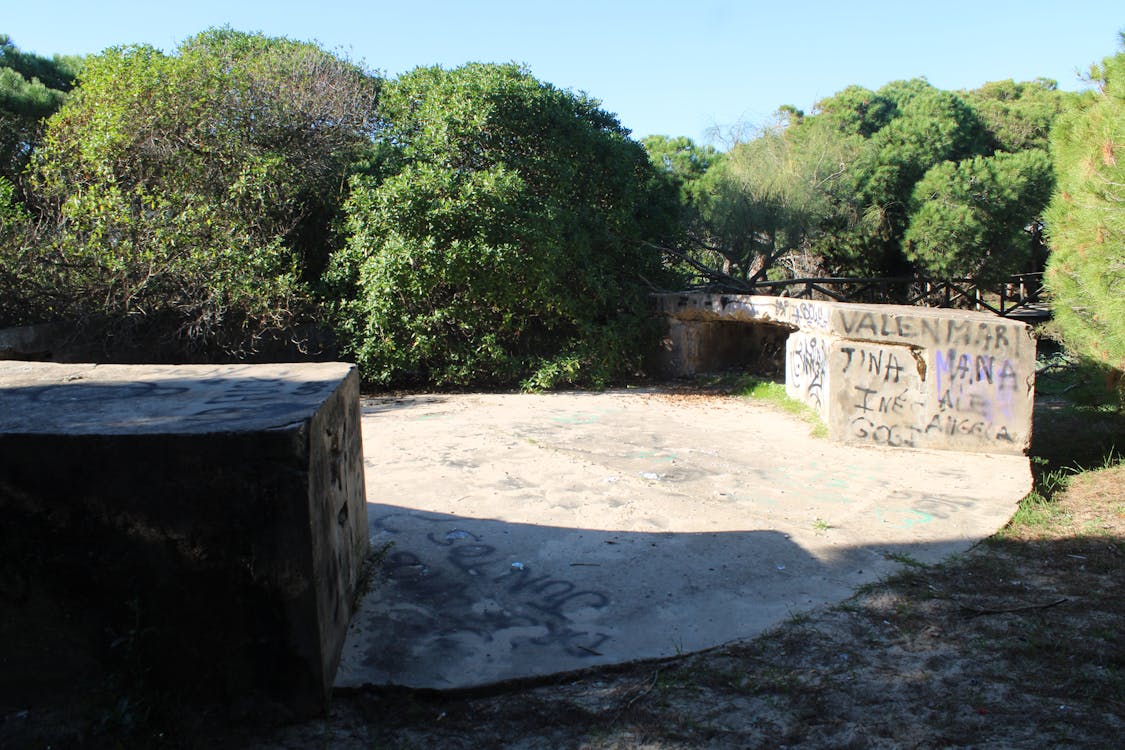 segunda posición artillera en los pinares de Rota