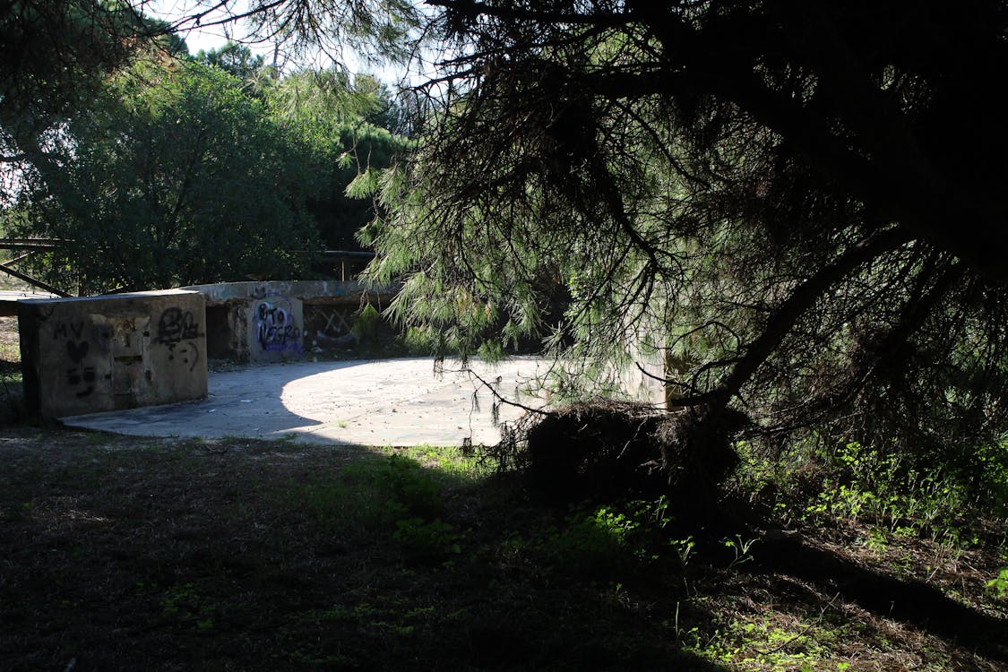 segunda posición artillera en los pinares de Rota