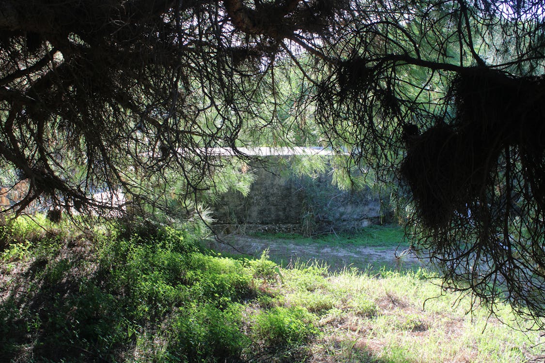 segunda posición artillera en los pinares de Rota