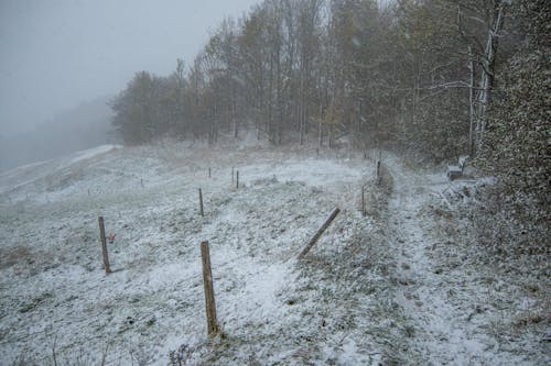 Fotobanka s bezplatnými fotkami na tému chladný, dedinský, ohrada