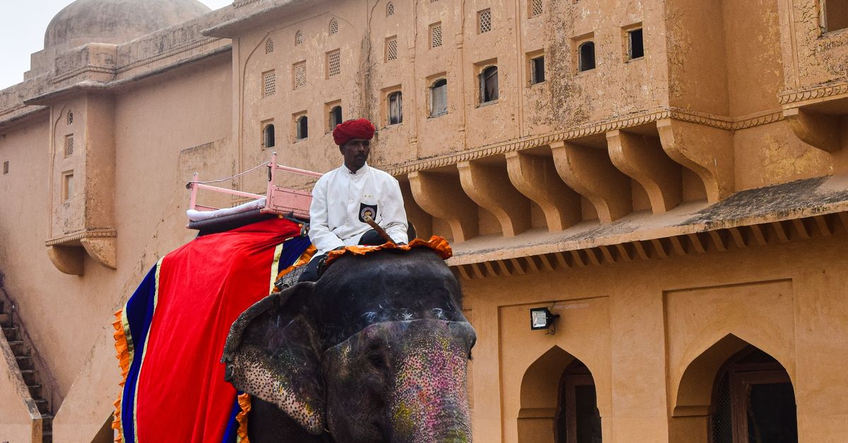 Guy Riding Elephant Man Riding Elephant in City · Free Stock Photo