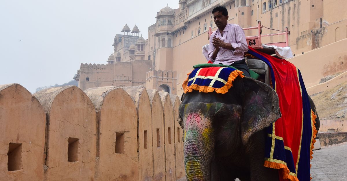 Guy Riding Elephant Man Riding Elephant in Town in India · Free Stock Photo