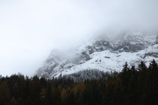 Peaceful winter scene of snow-covered mountains shrouded in mist in Tirol, Austria.
