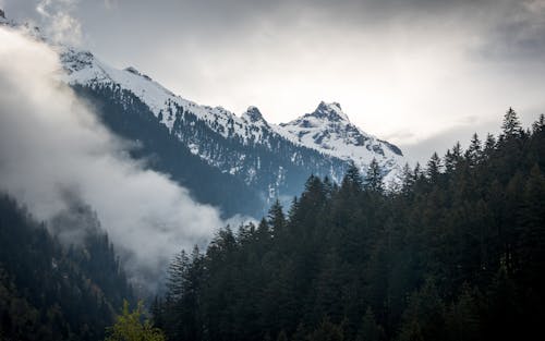 A mountain range with trees and clouds in the background