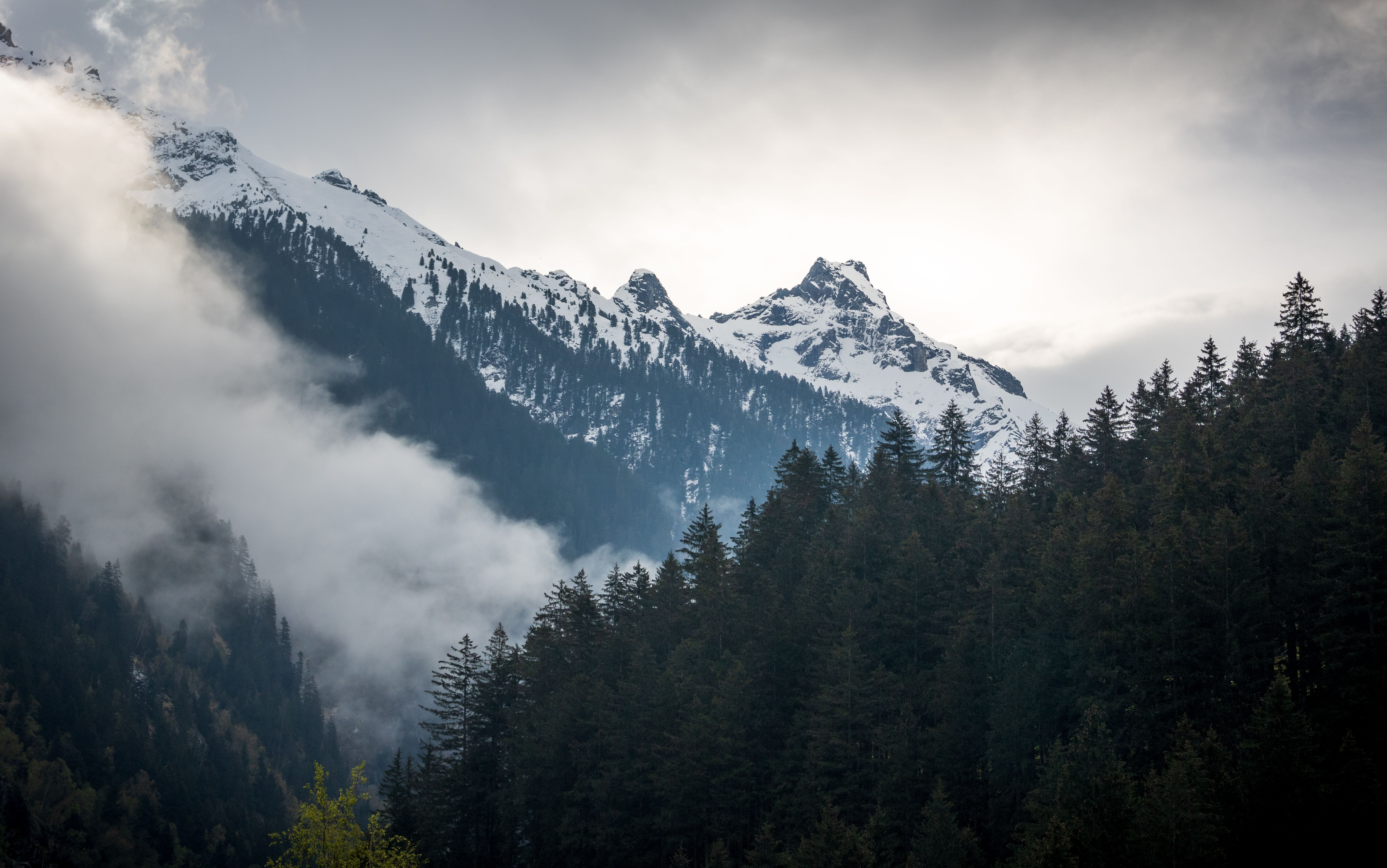 A mountain range with trees and clouds in the background · Free Stock Photo