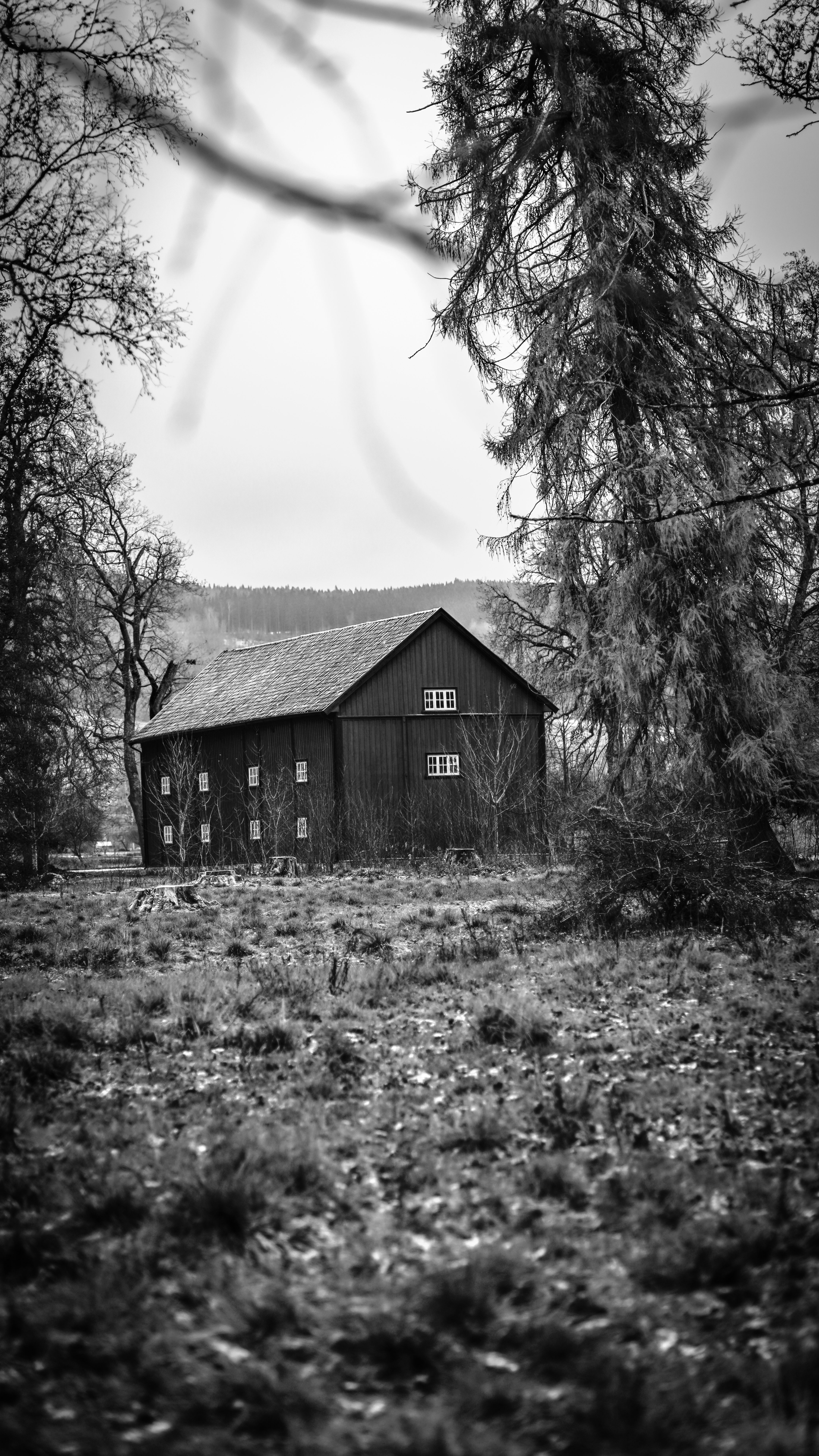 A solitary wooden barn amidst a serene countryside landscape in black and white.
