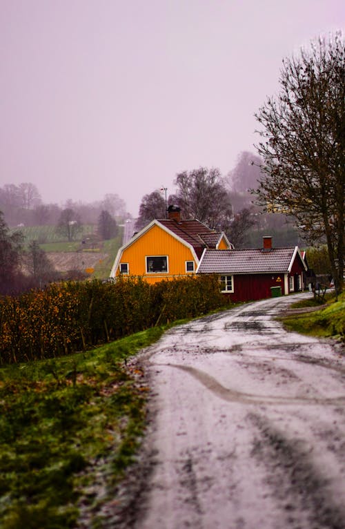 Wooden Houses by Road in Countryside in Fog