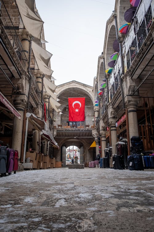 Imagine de stoc gratuită din arhitectură otomană, bagaje, curcan