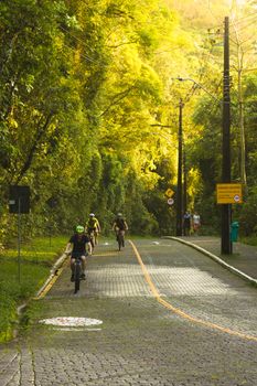 Cyclists enjoying a leisurely ride on a scenic path surrounded by lush greenery in a park.