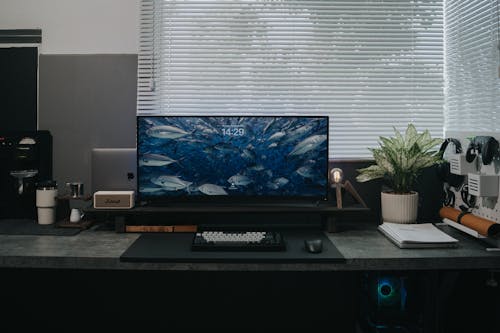 Fish on Monitor Screen on Desk