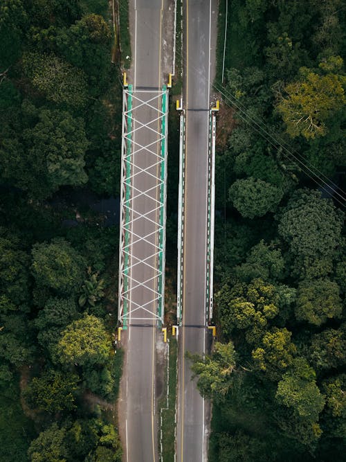 Top View of Asphalt Roads between Green Trees