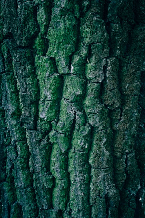 Základová fotografie zdarma na téma @ venku, abstrakce, abstraktní