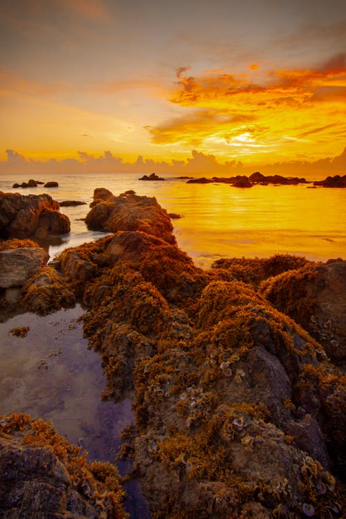 Fotos de stock gratuitas de cielo amarillo, costa, erosionado