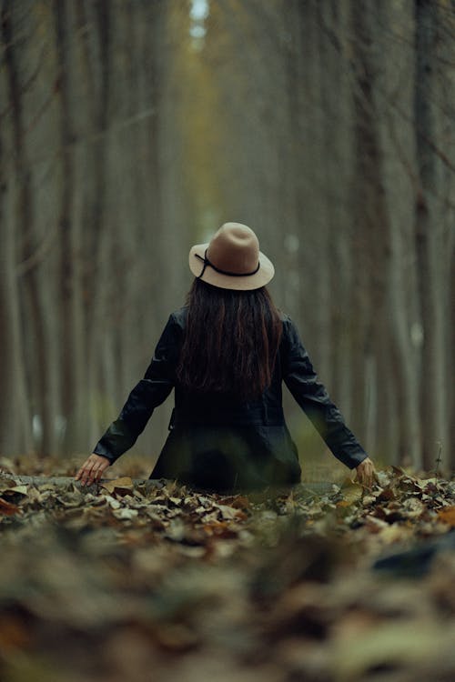 Základová fotografie zdarma na téma elegantní, klobouk, les