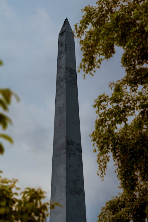 Kostenloses Stock Foto zu baum, lokale sehenswürdigkeiten, obelisk