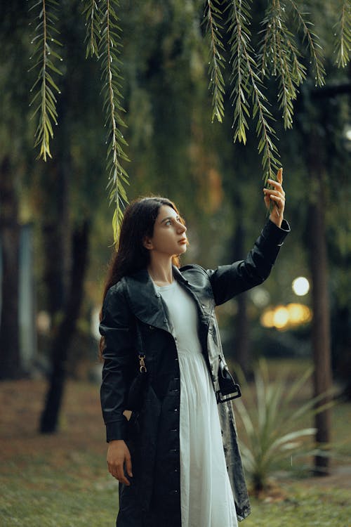 Foto stok gratis Daun-daun, fotografi mode, kaum wanita