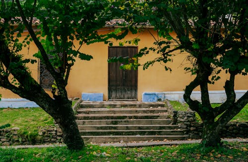 Residential House with Trees in the Yard 