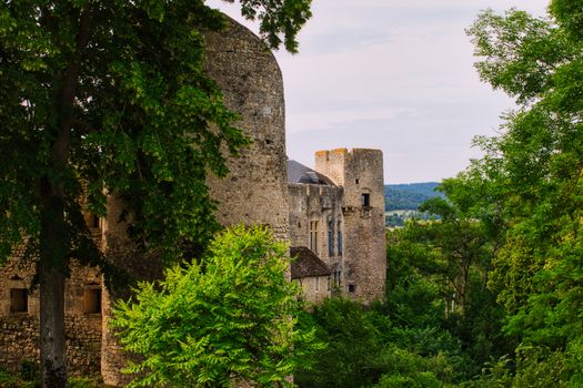 Élégance Naturelle : Le Château Enchanté au Cœur de la Forêt