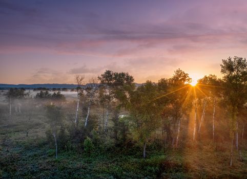 A stunning sunset captured over a tranquil forest landscape in West Newton, Minnesota.