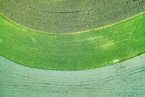 Aerial Footage of Green Textured Fields