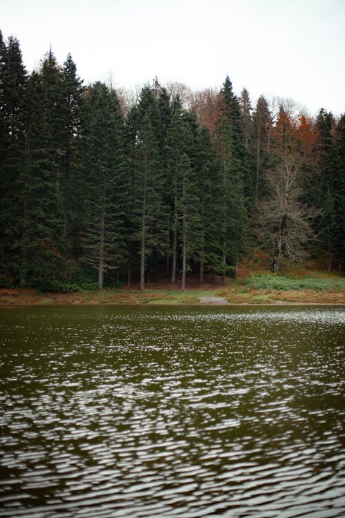 Ilmainen kuvapankkikuva tunnisteilla joki, luonto, maaseudun