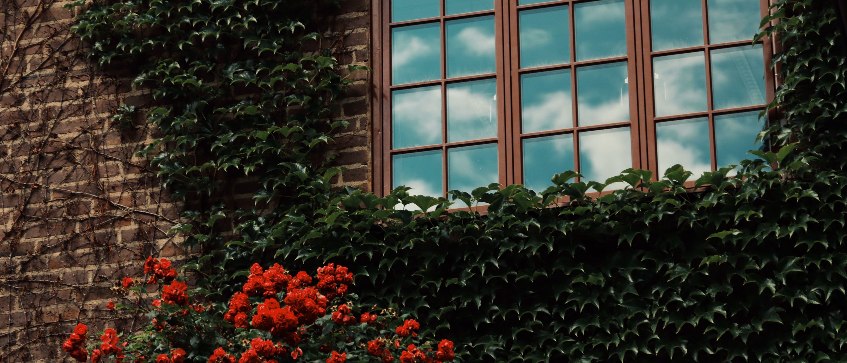 Exterior Painting in Chiswick — careful masking before painting begins