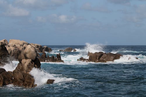 Rocks on Shore