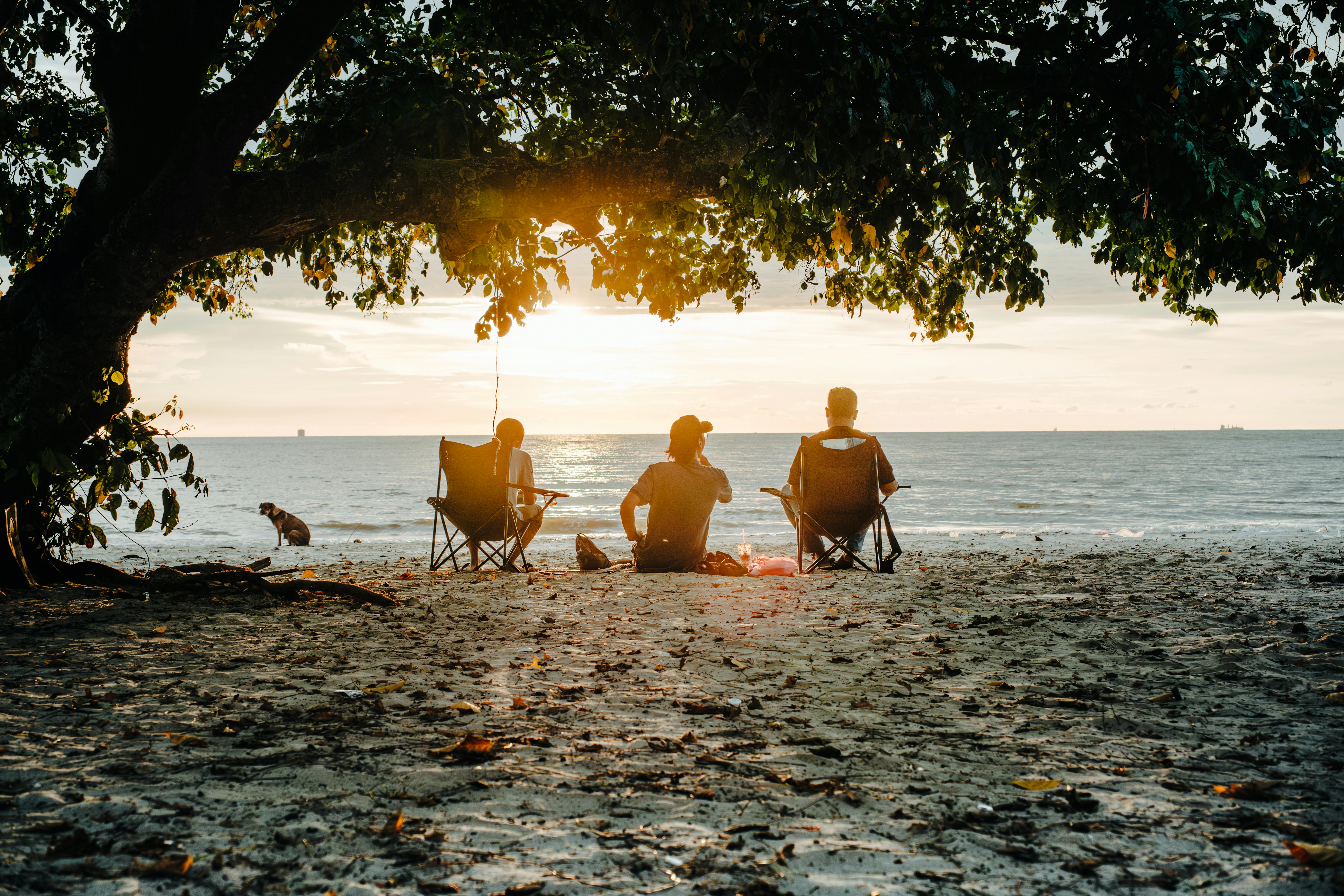 How to Retire Early: A Guide to Financial Independence — Photo by Ihsan Adityawarman on Pexels
