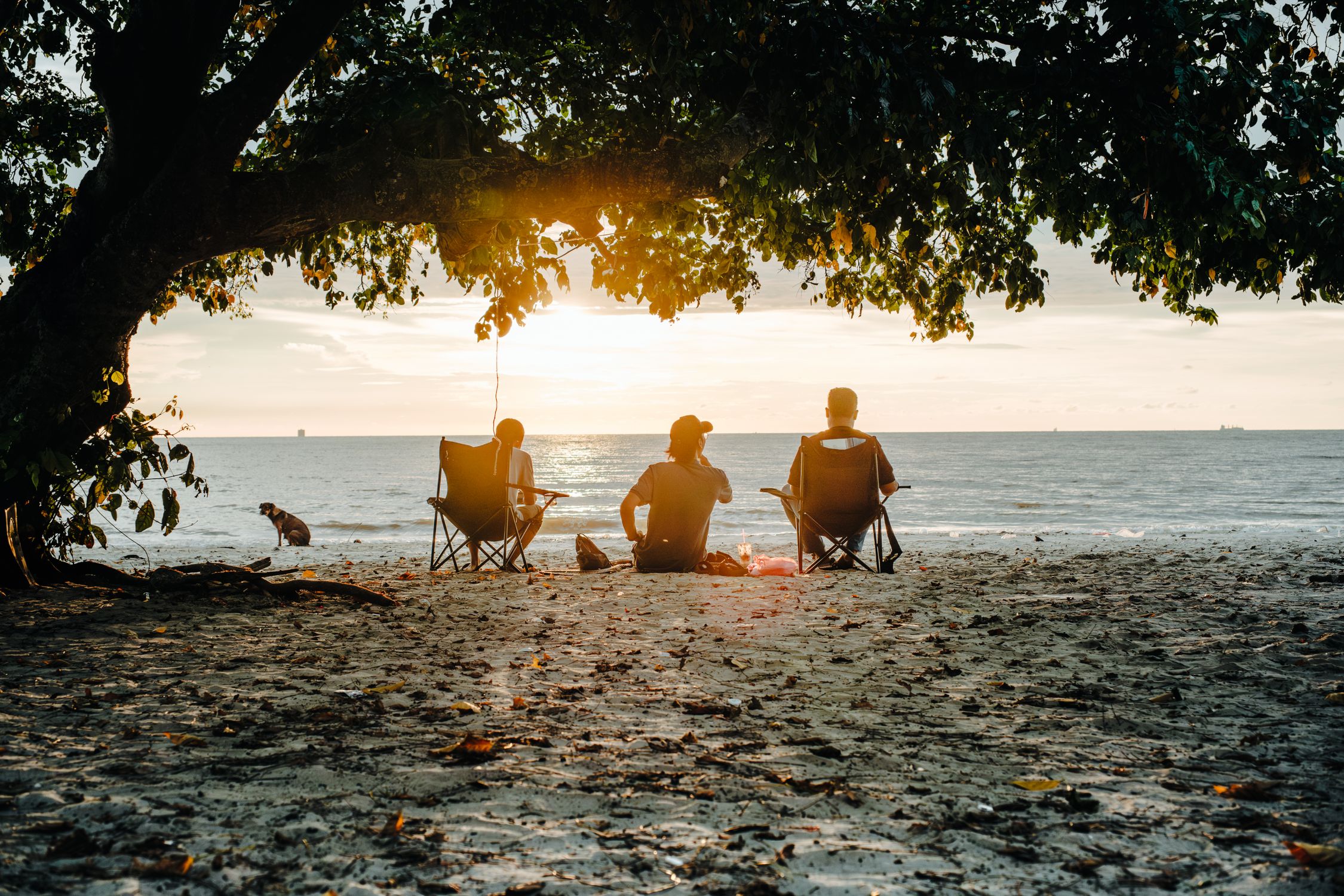 Back Lit Photo of Man Sitting on a Beach · Free Stock Photo