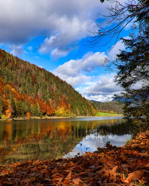 Free Lake in Forest in Autumn Stock Photo