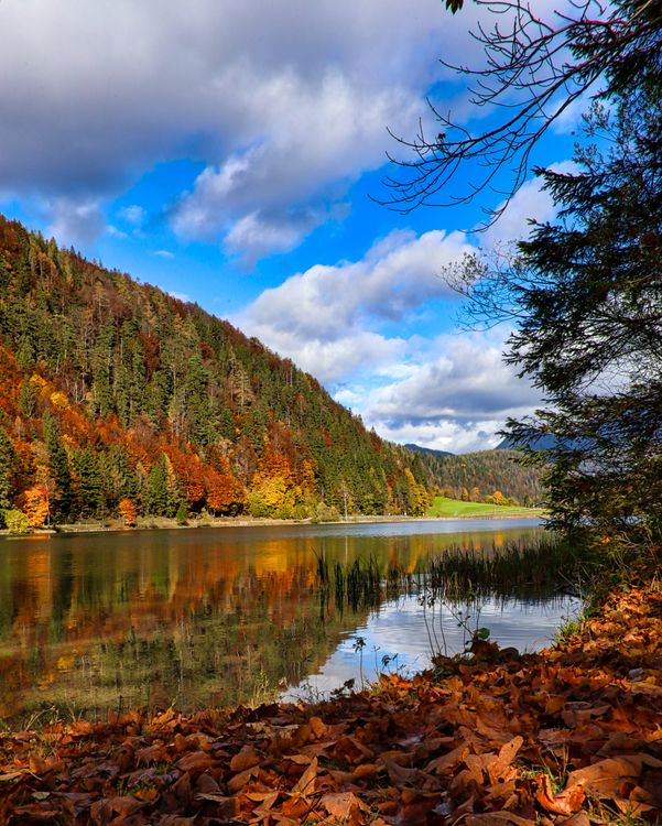 Lake in Forest in Autumn · Free Stock Photo