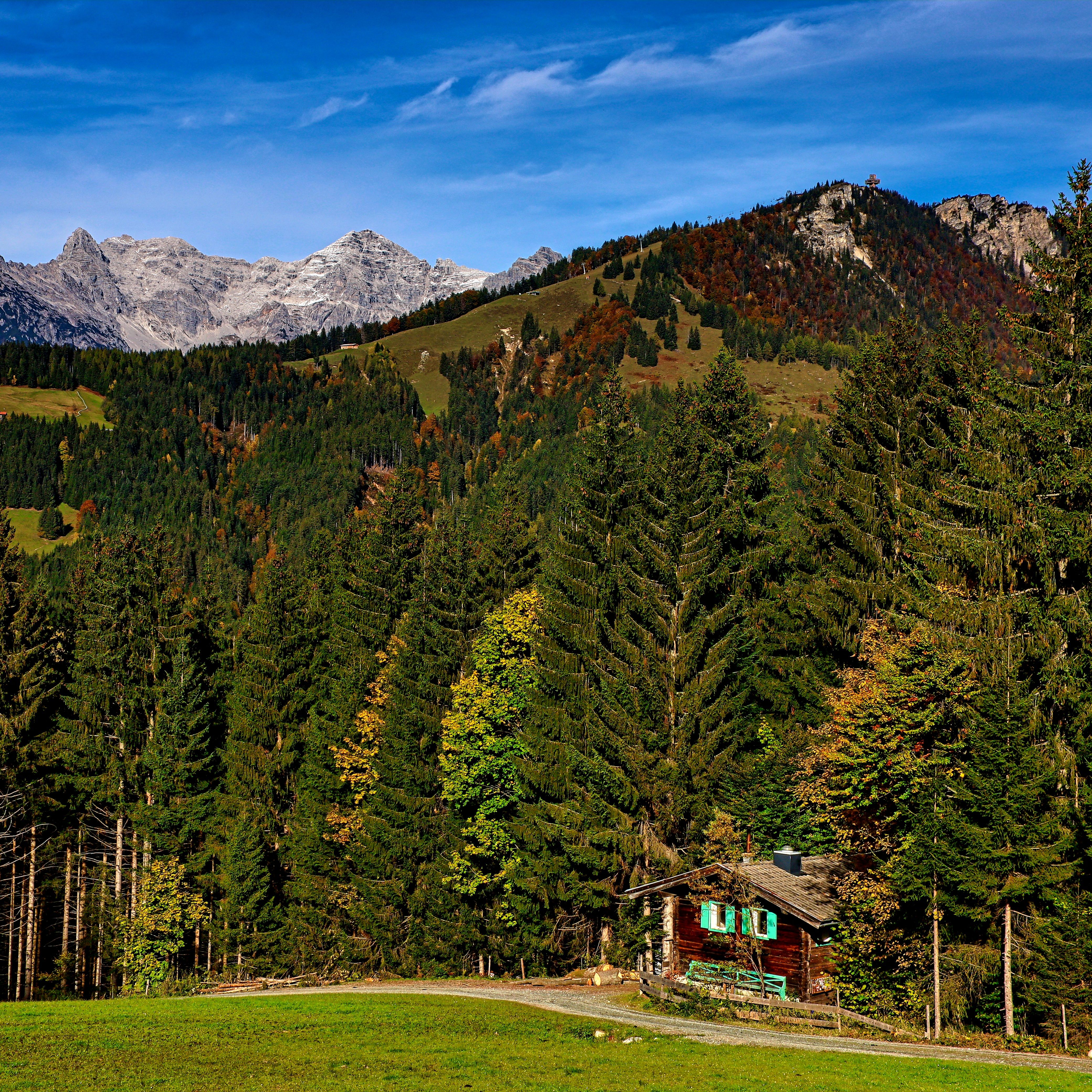 Green Forest and Hill in Mountains · Free Stock Photo