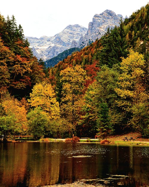 Lake in Forest in Valley in Autumn