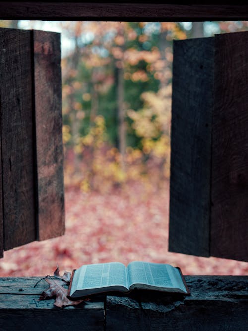 Open Book near Wooden Shutters in Autumn