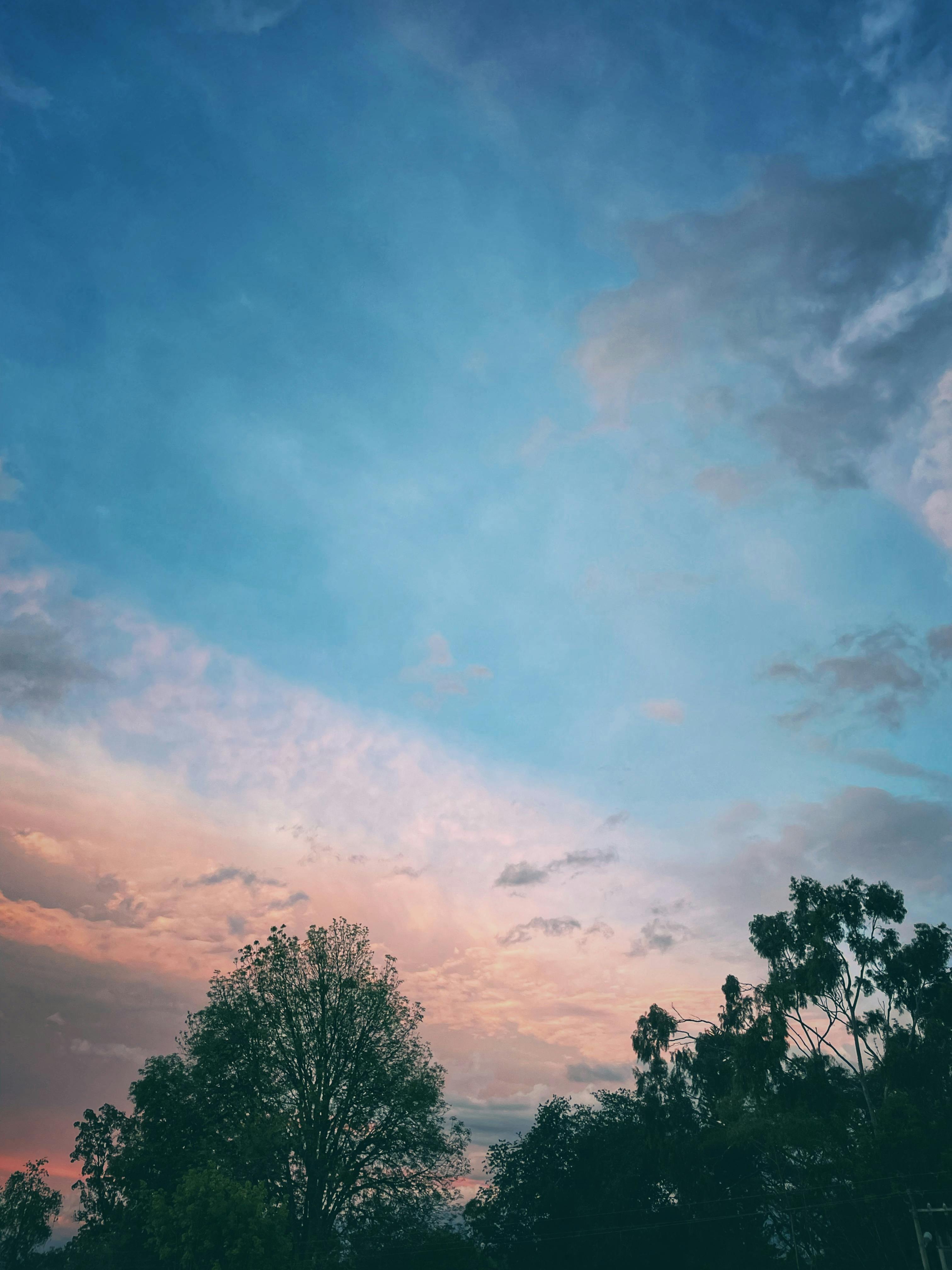 Nicolas Moreno Fotografia