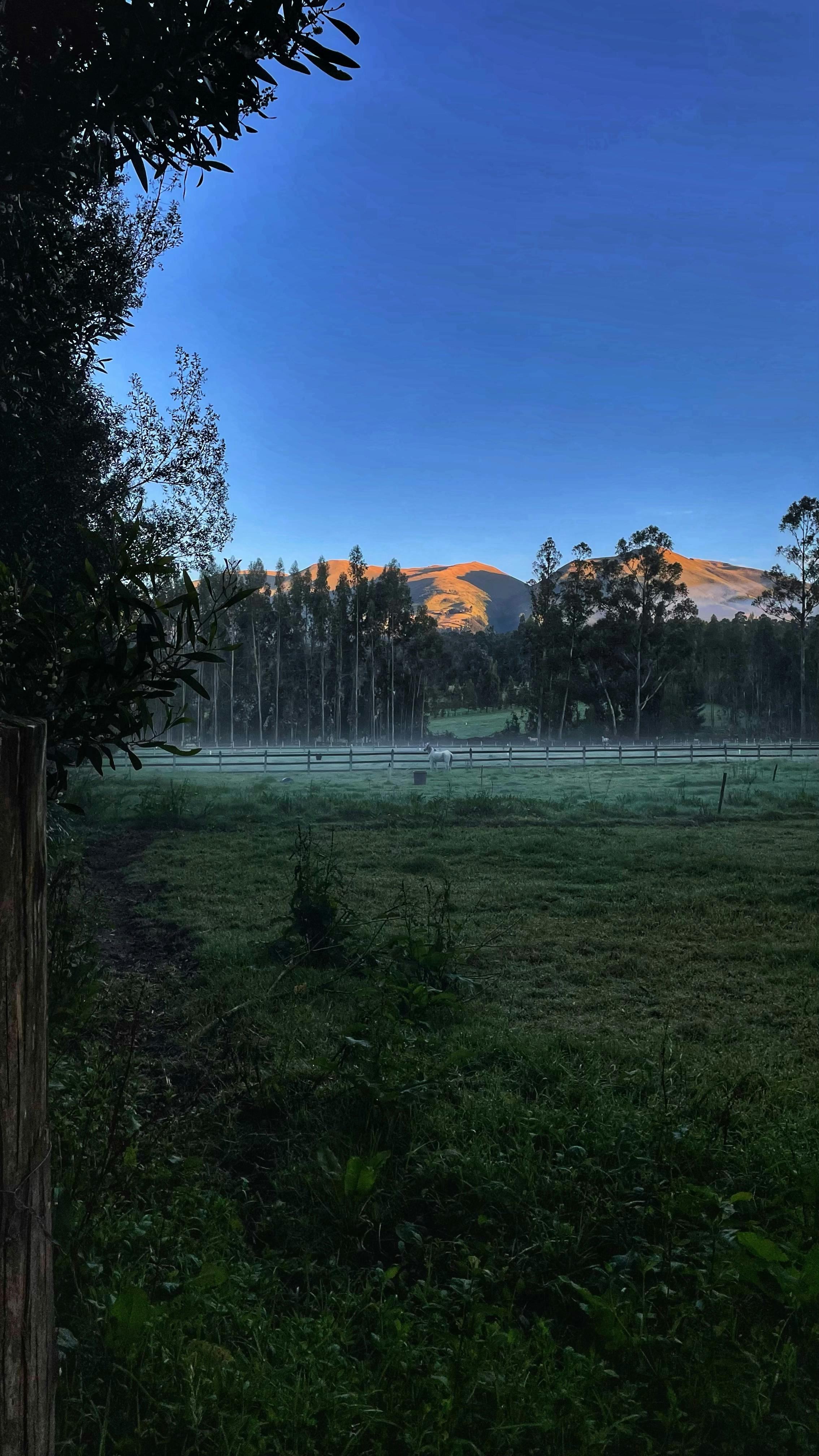 Nicolas Moreno Fotografia