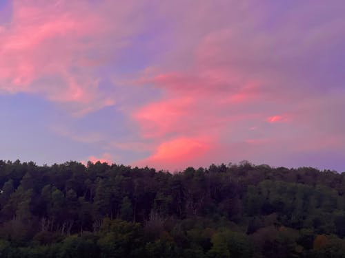 Foto profissional grátis de pôr do sol