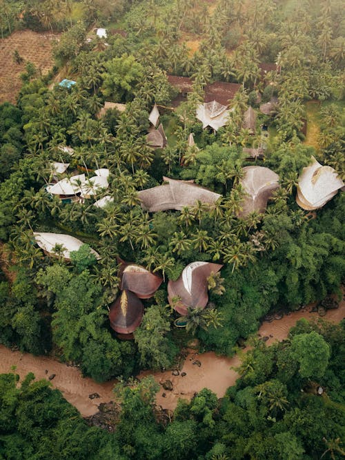 Boats on a Plantation 