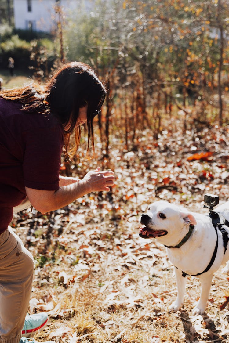 Woman Playing With A Dog Outside 