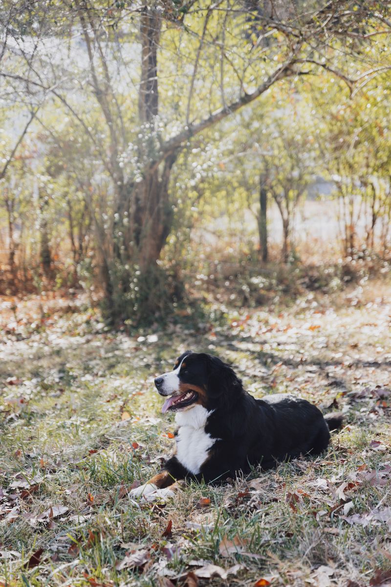 Luna - photo 1
