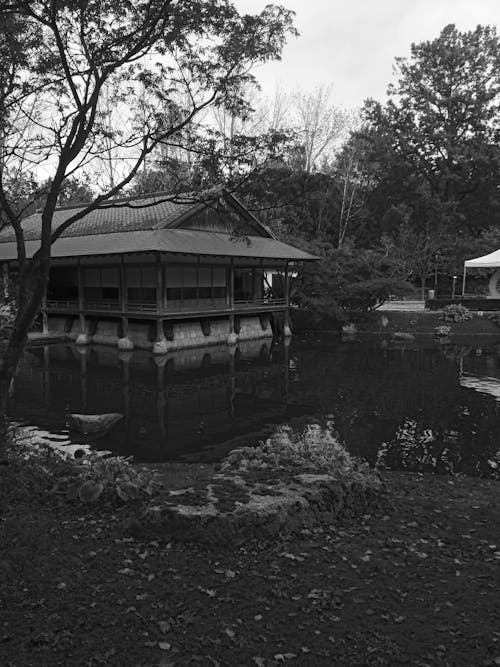 Building on Pond in Park in Black and White