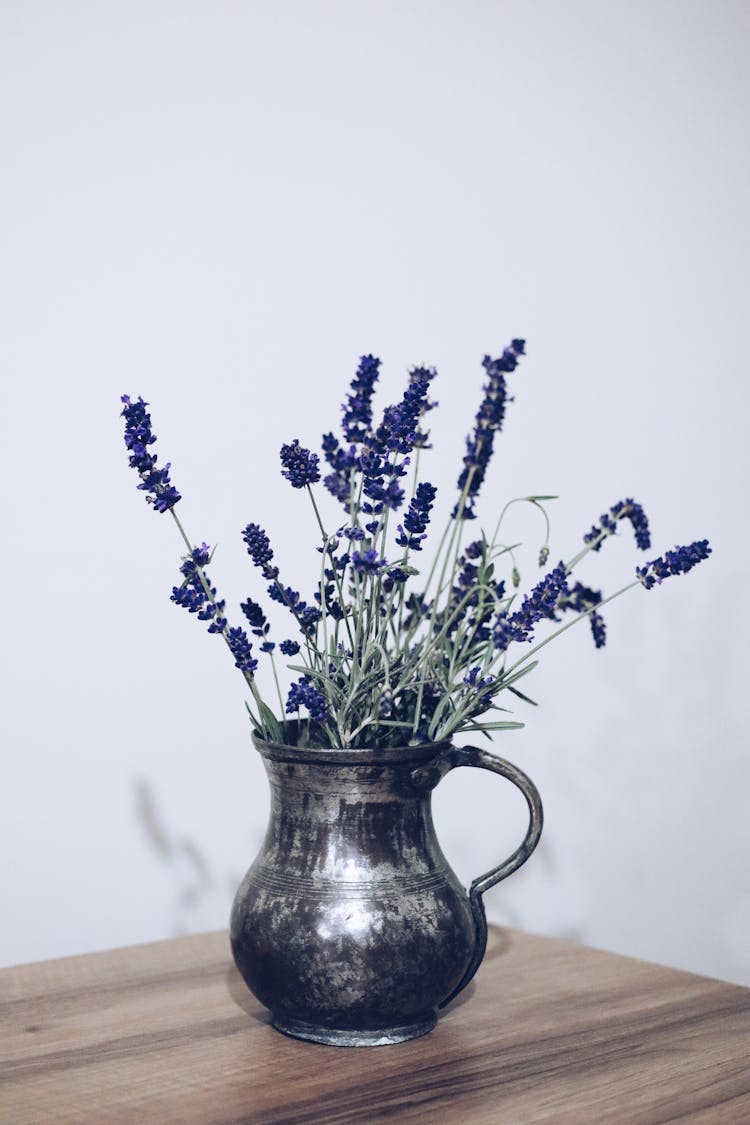 Lavender In A Vintage Pot 