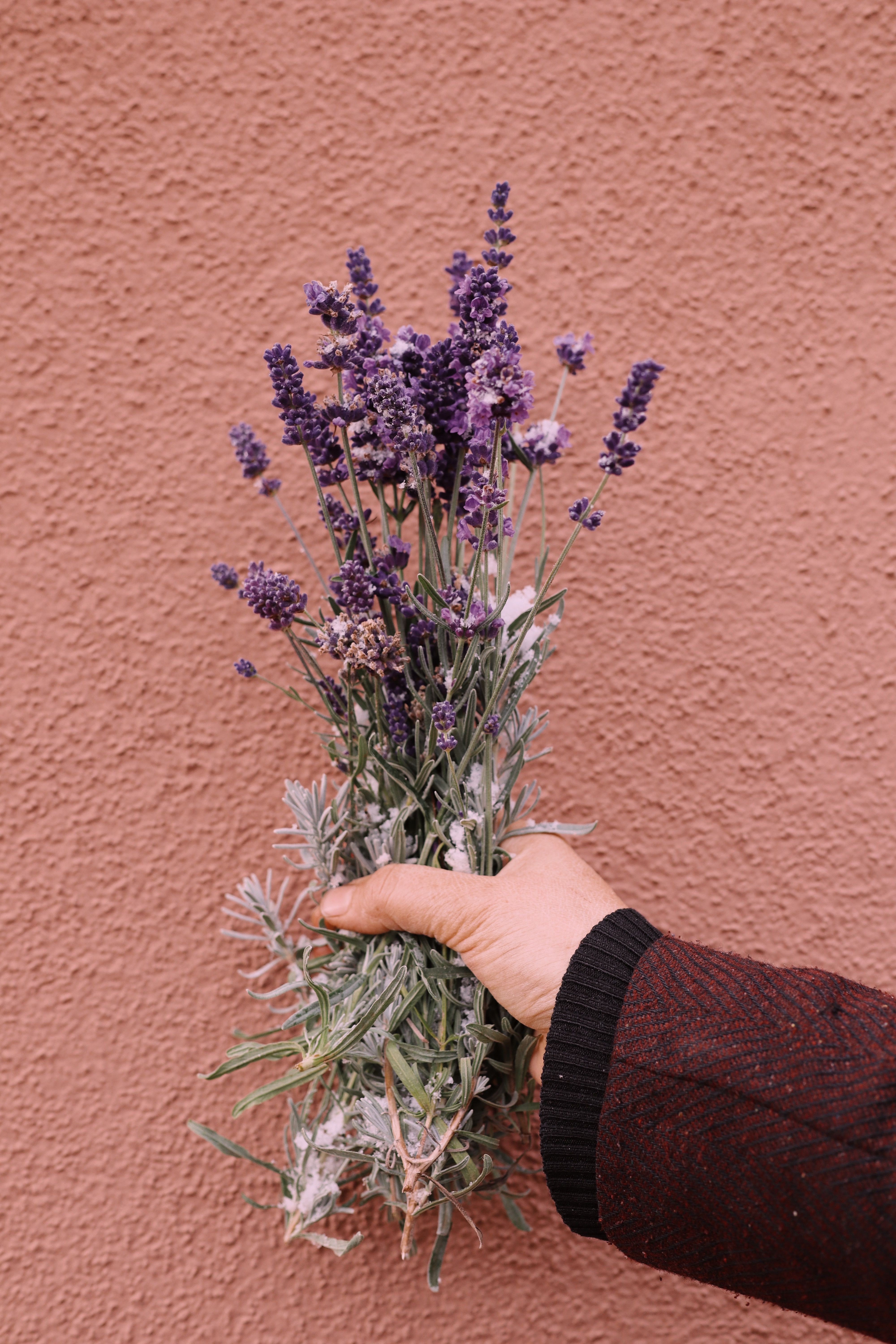 Wonders In Aromatherapy