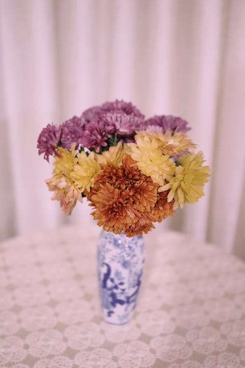 Gratis stockfoto met bloemen, boeket, Bos bloemen