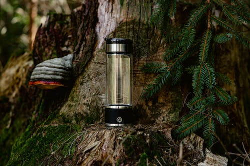 Bottle with Filter on Tree Bark